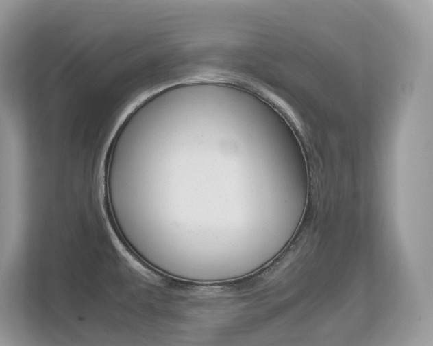X0000113251479200909100933