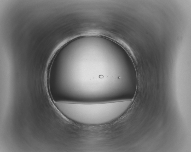 X0000113251480200909100933