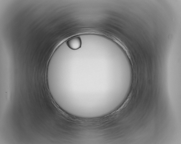 X0000113251481200909100933