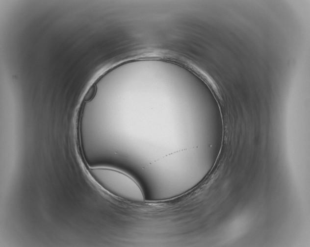 X0000113251483200909100933