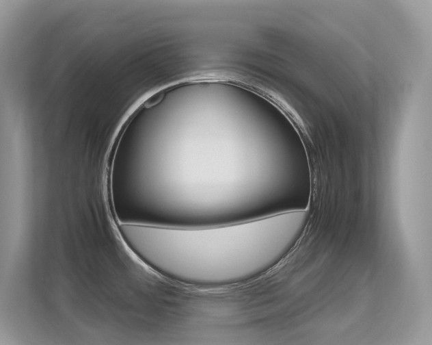 X0000113251484200909100933