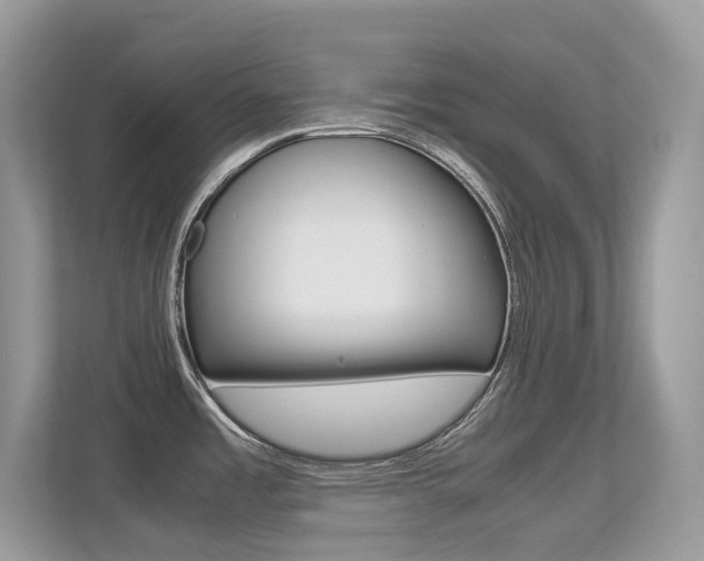 X0000113251485200909100933