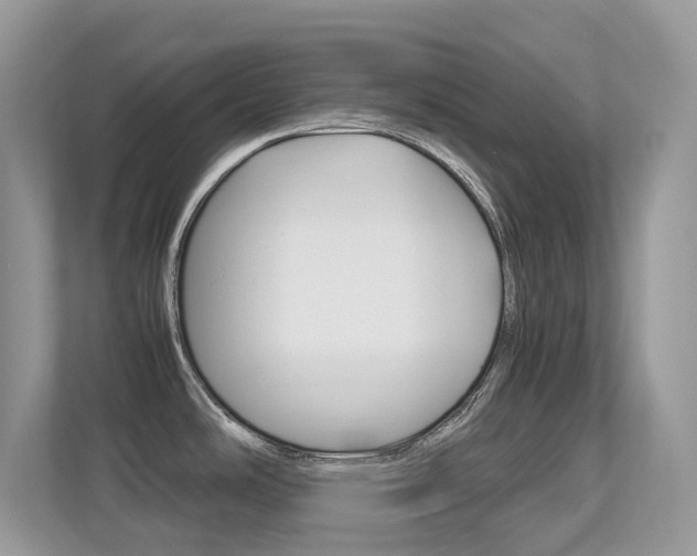 X0000113251486200909100933