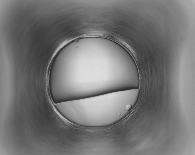 X0000113251487200909100933