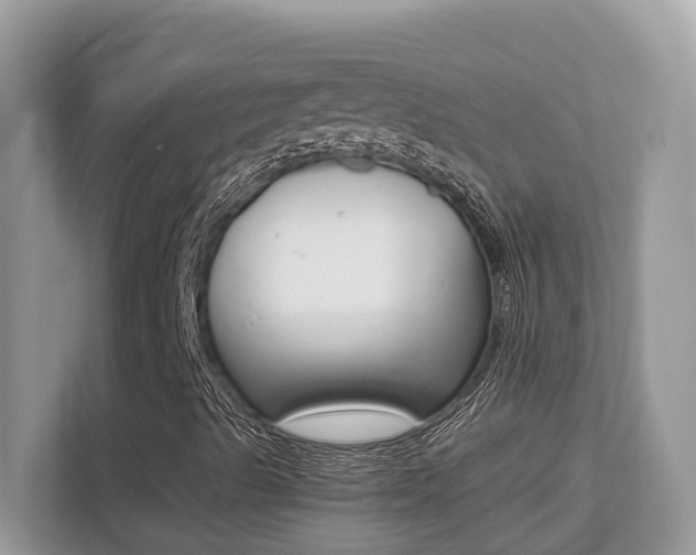 X0000113251489200909100932