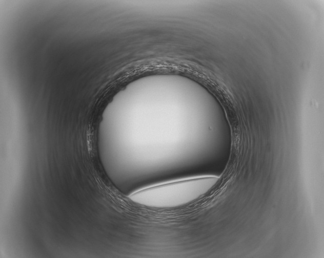 X0000113251490200909100932