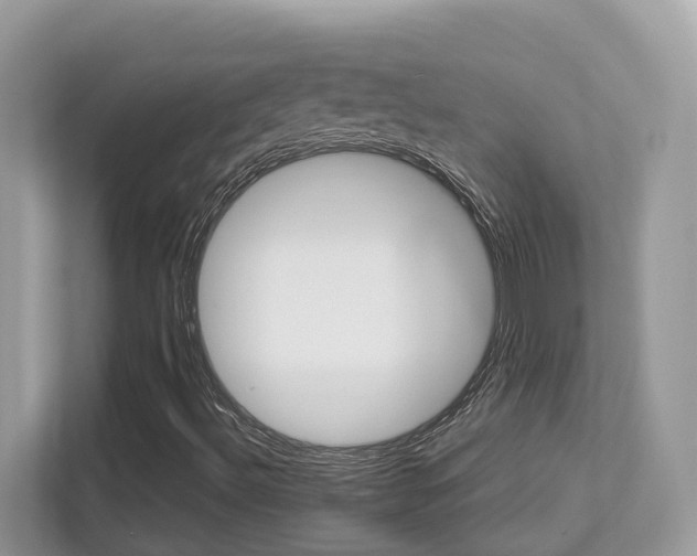 X0000113251492200909100932