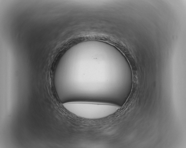 X0000113251493200909100932