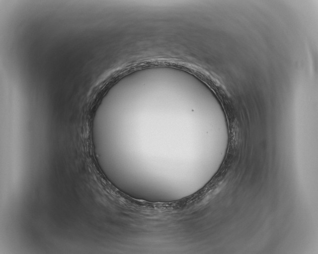 X0000113251494200909100932