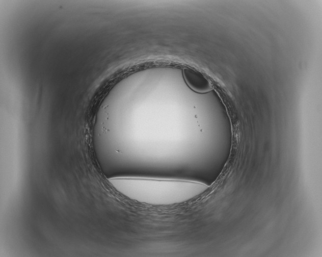 X0000113251495200909100932