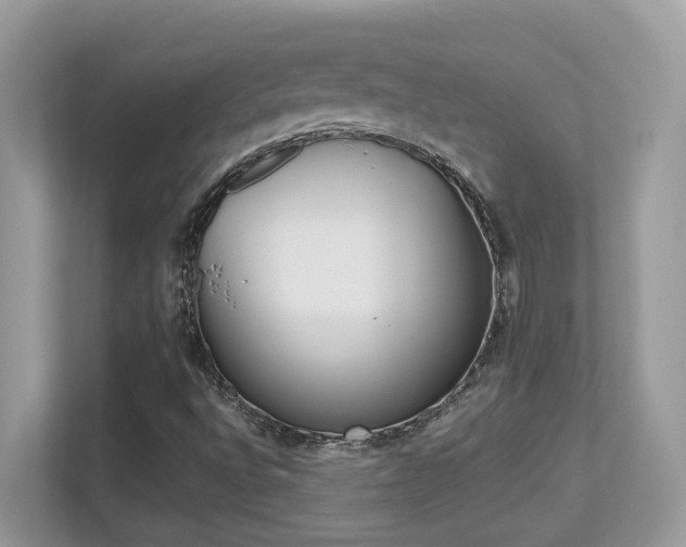 X0000113251496200909100932