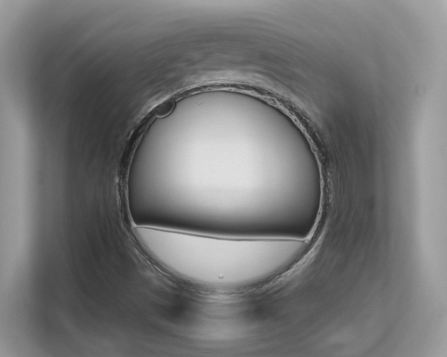 X0000113251497200909100932