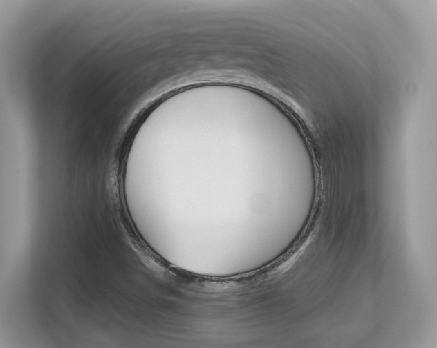 X0000113251498200909100932