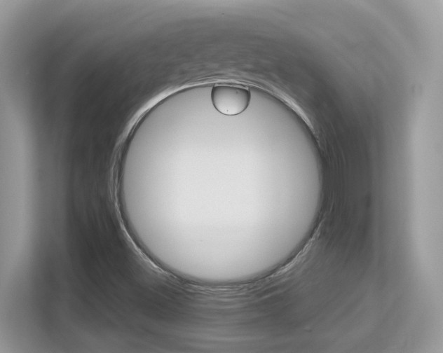 X0000113251500200909100932