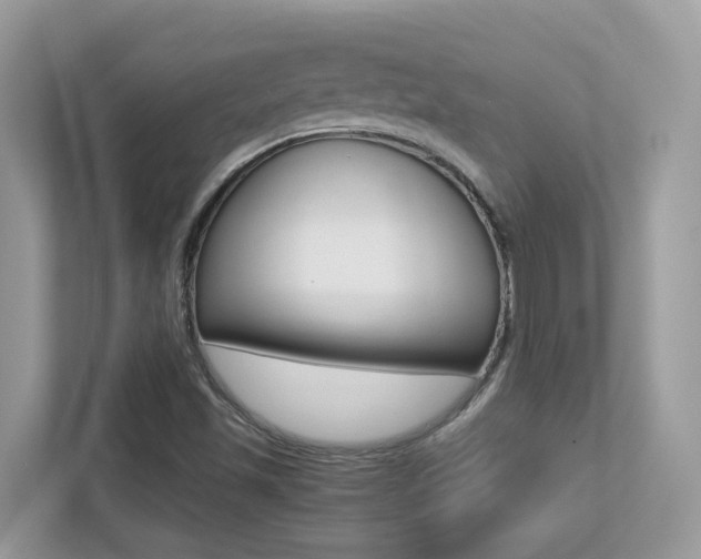 X0000113251501200909100932