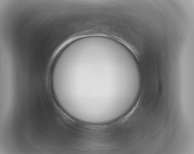 X0000113251502200909100932