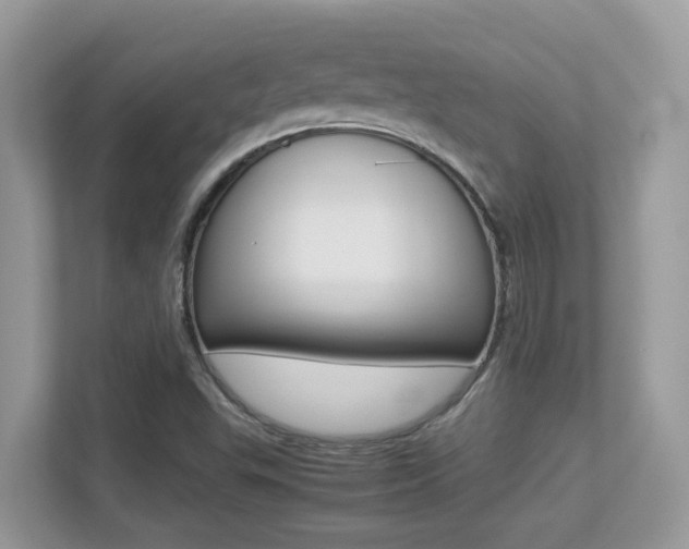 X0000113251503200909100932