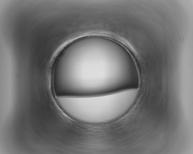 X0000113251504200909100932