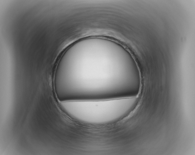 X0000113251505200909100932