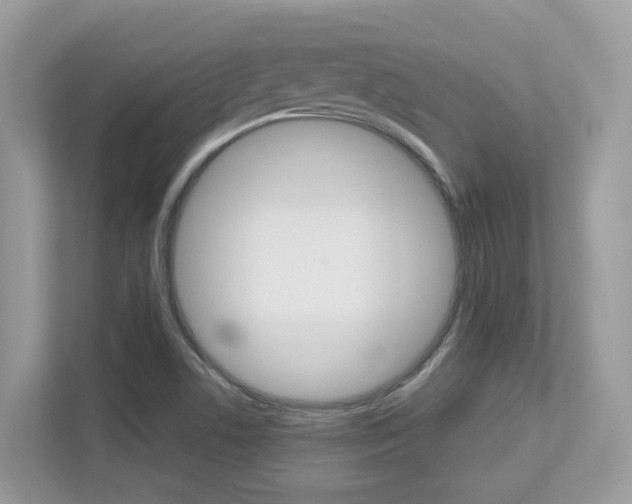 X0000113251506200909100932