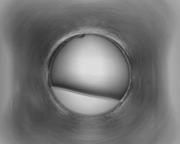 X0000113251507200909100932