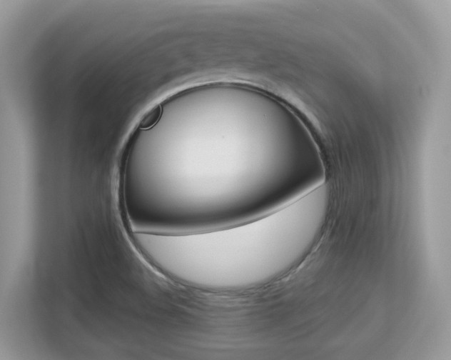 X0000113251508200909100932