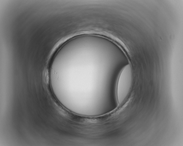 X0000113251509200909100932