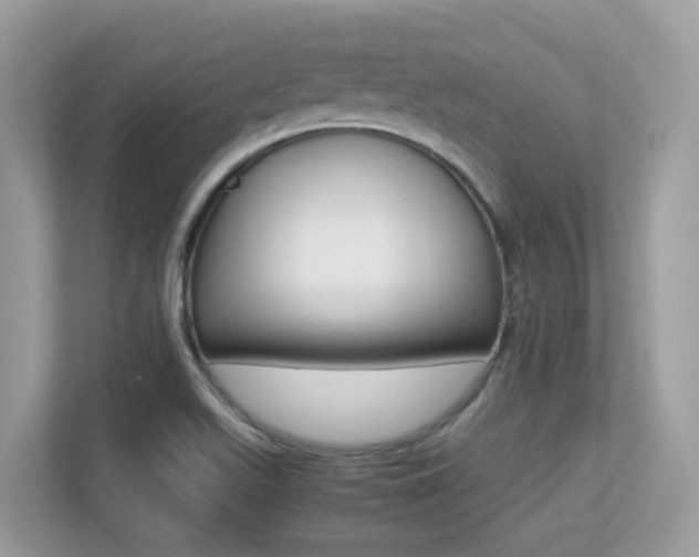 X0000113251511200909100932