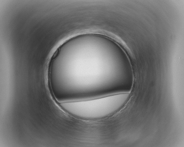 X0000113251512200909100932