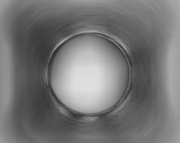 X0000113251513200909100932