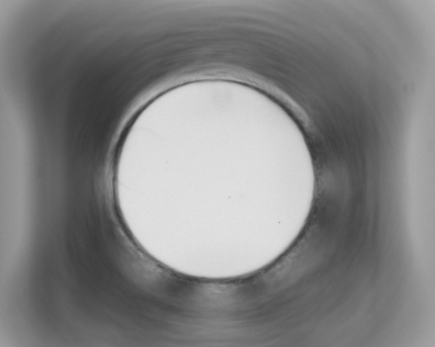 X0000113251514200909100932