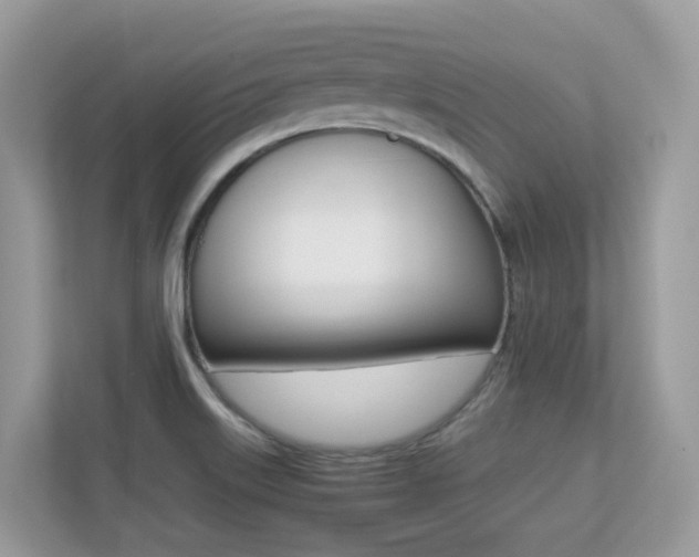 X0000113251515200909100932