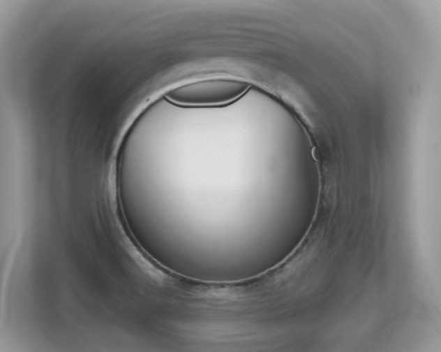 X0000113251516200909100932