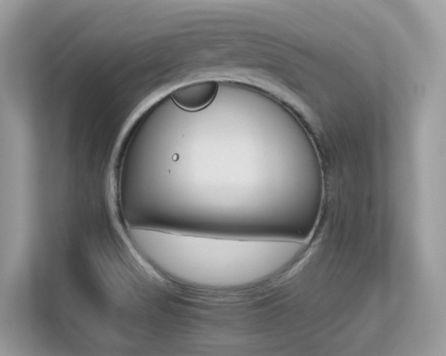 X0000113251517200909100932