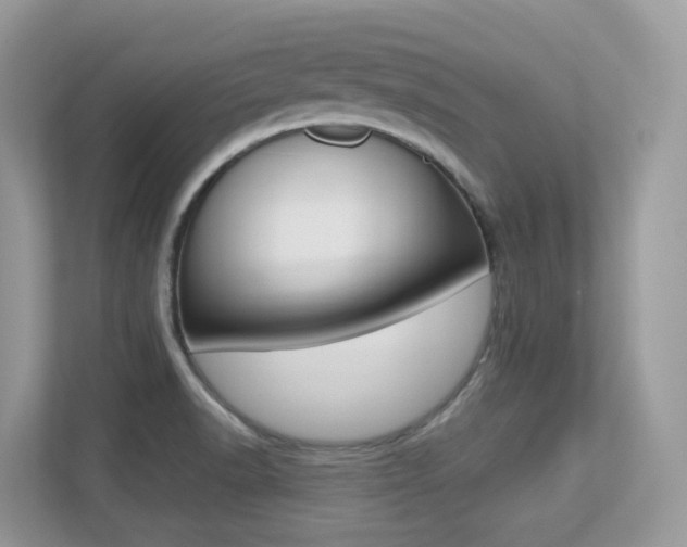 X0000113251518200909100932