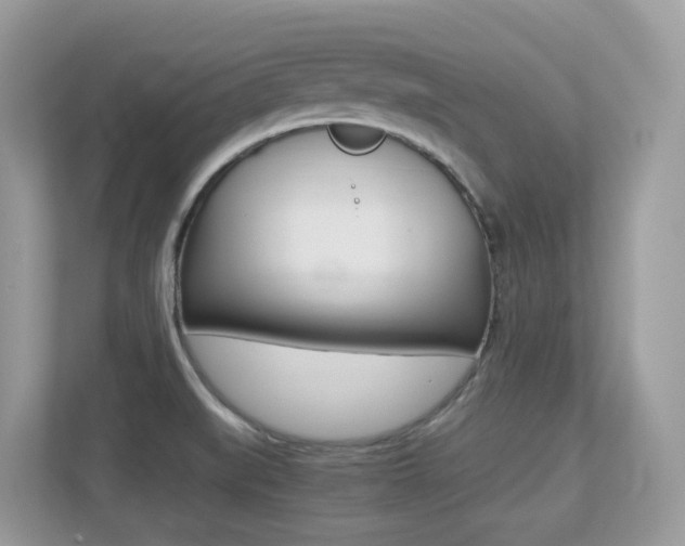 X0000113251519200909100932