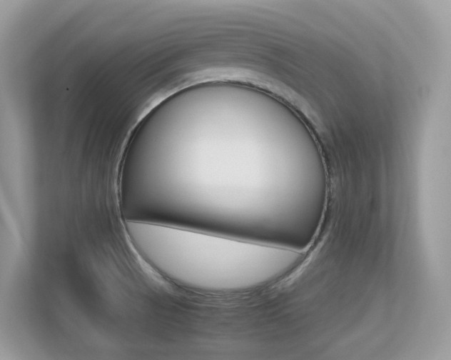 X0000113251521200909100932