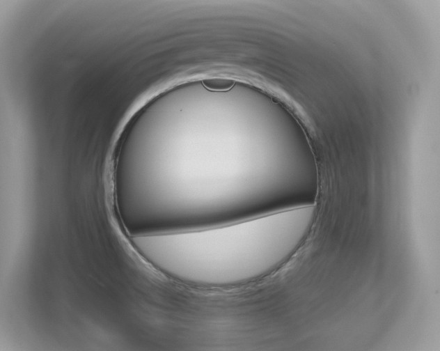 X0000113251522200909100932