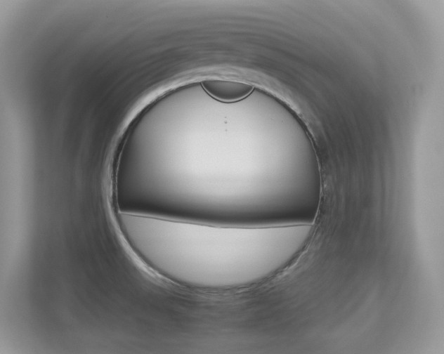 X0000113251523200909100932