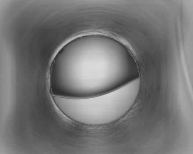 X0000113251524200909100932