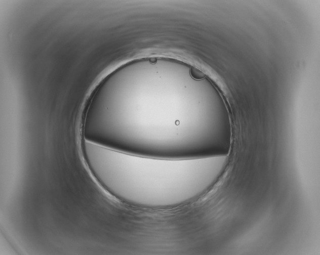 X0000113251525200909100932