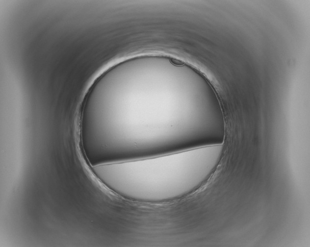 X0000113251526200909100932