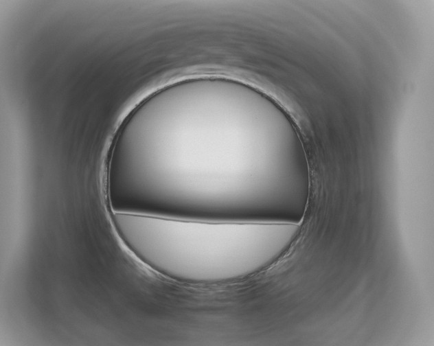 X0000113251527200909100932