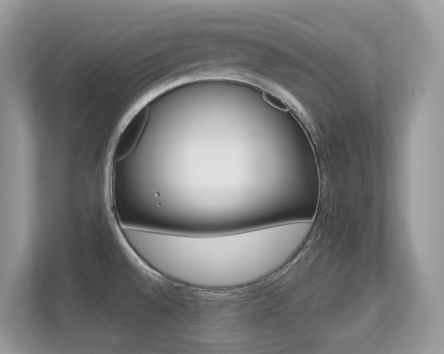 X0000113251528200909100932