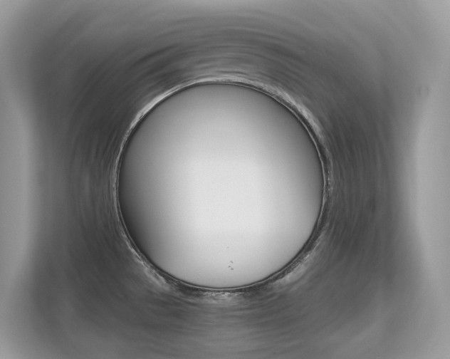 X0000113251529200909100933