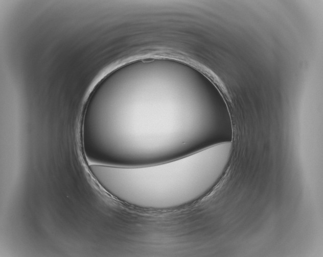 X0000113251530200909100933