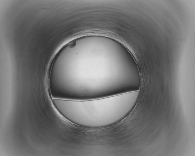 X0000113251531200909100933