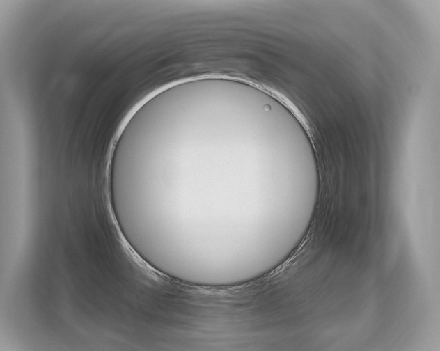 X0000113251532200909100933