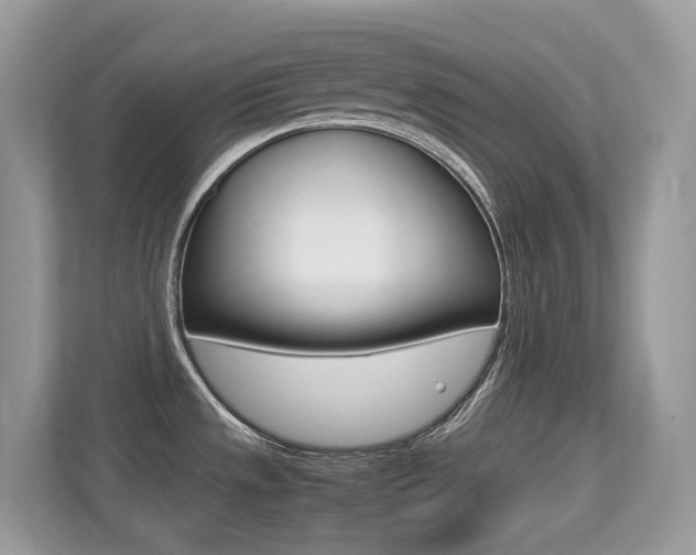X0000113251533200909100933