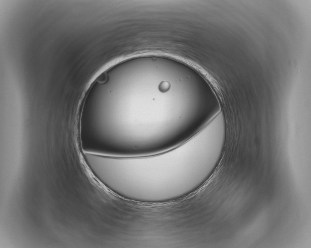 X0000113251534200909100933